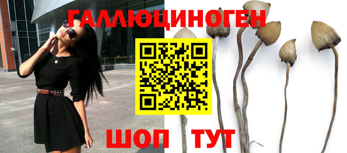 Ирбит  Псилоцибиновые грибы мухоморы  Вход с VPN 
